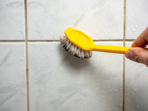 Best Attic Mold Removal  in Andover, MN