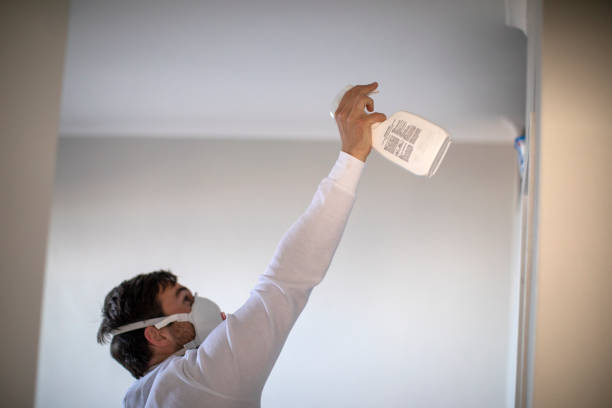 Andover, MN Mold Removal Company