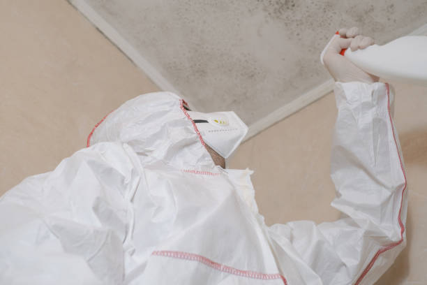 Best Mold Testing  in Andover, MN