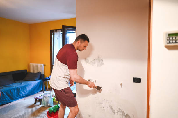 Crawl Space Mold Removal in Andover, MN